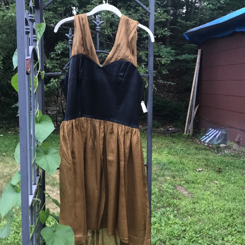 Ainsley sz 8 Black & Gold vintage style dress